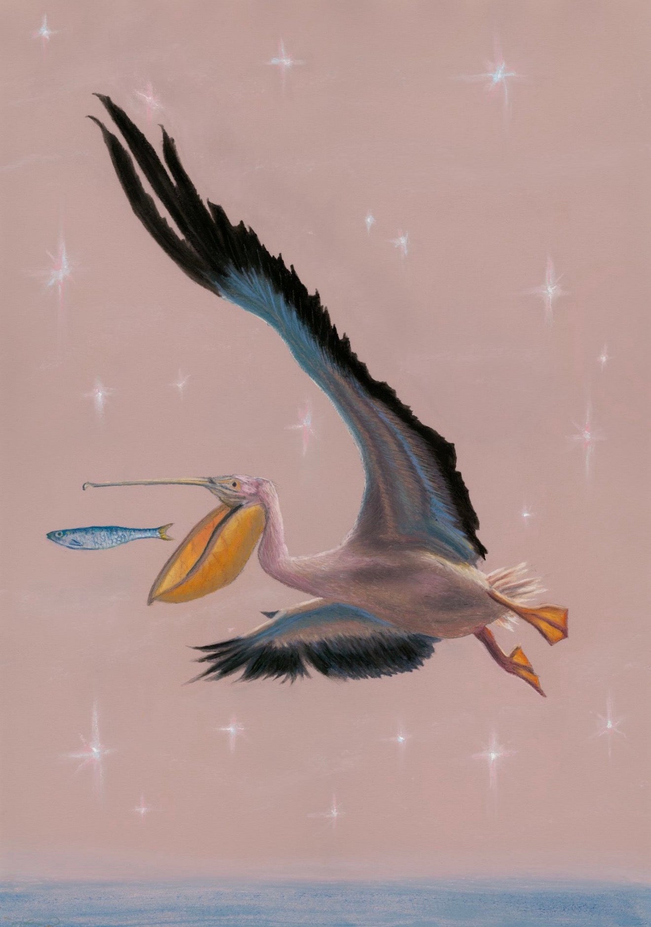 "Pelican Dreams" Print