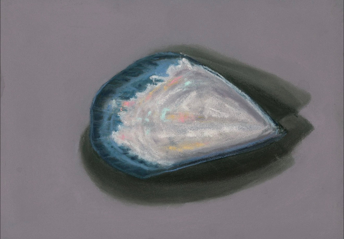 "Solitary Mussel No. 2" Print