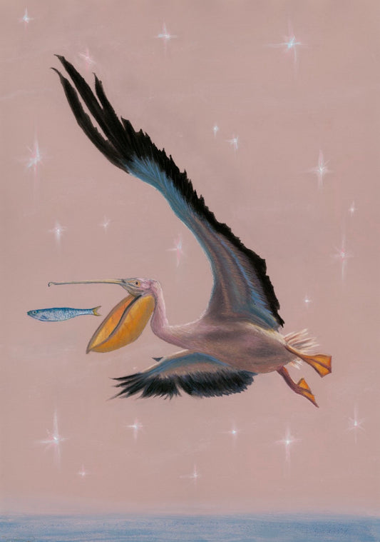 "Pelican Dreams" Print
