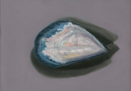 "Solitary Mussel No. 2" Print