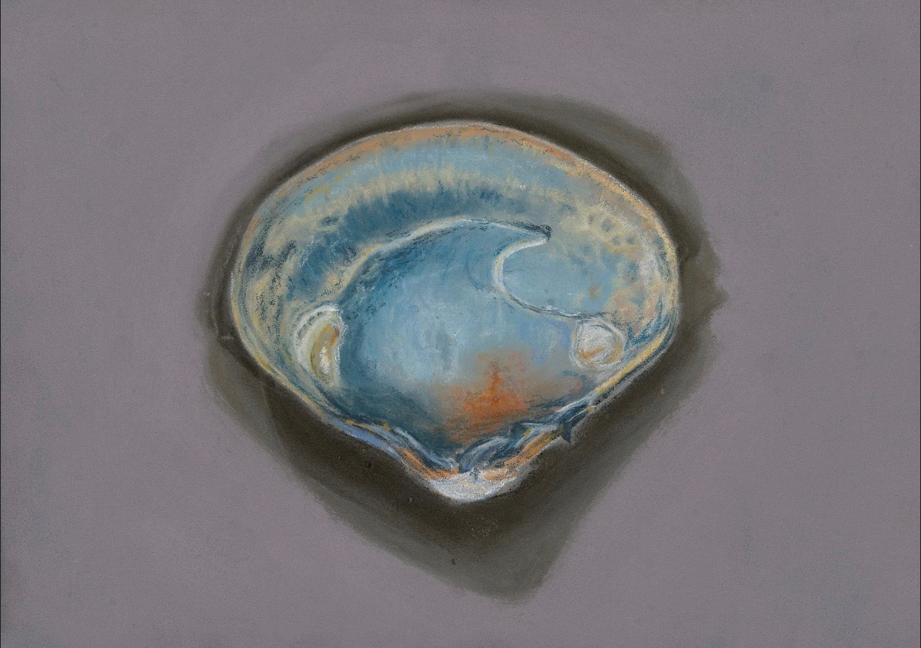 "Solitary Clamshell No. 1" Print