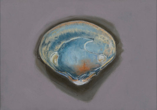 "Solitary Clamshell No. 1" Print