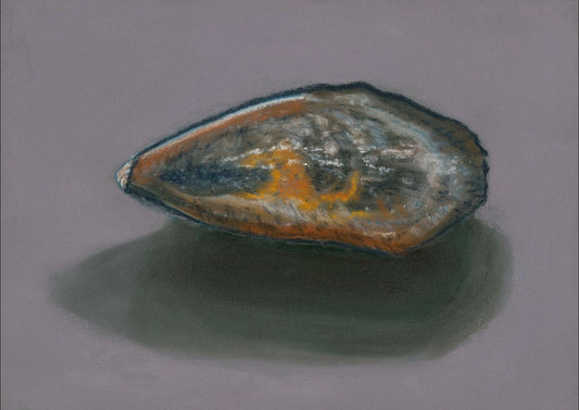 "Solitary Mussel No. 1" Print
